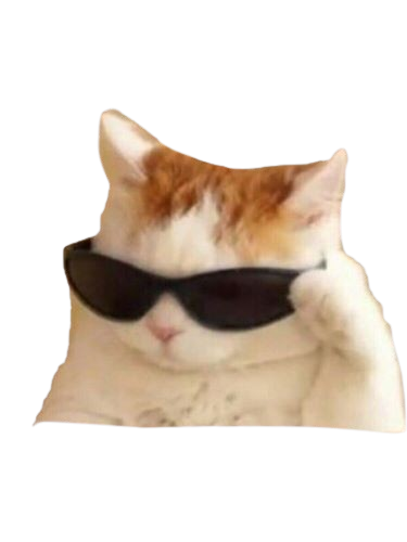 cat with sunglasses funny hehe